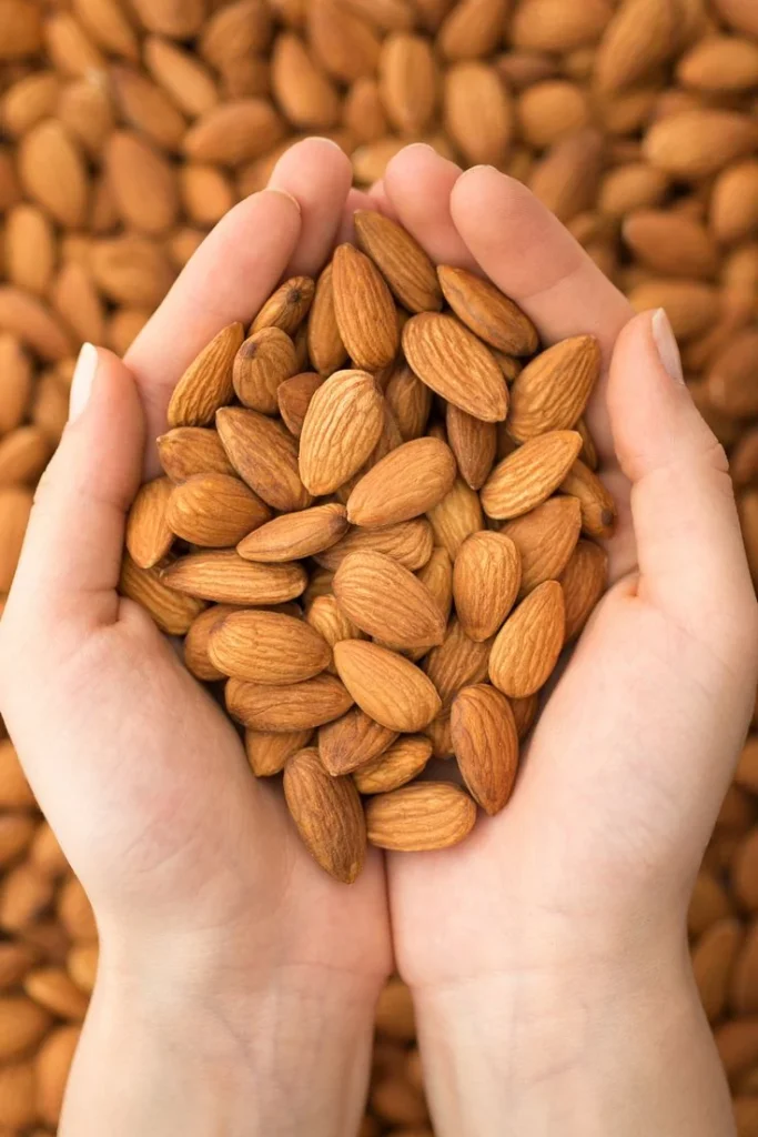 Fresh almonds displayed with dried apricots against a Gilgit-Baltistan mountain landscape