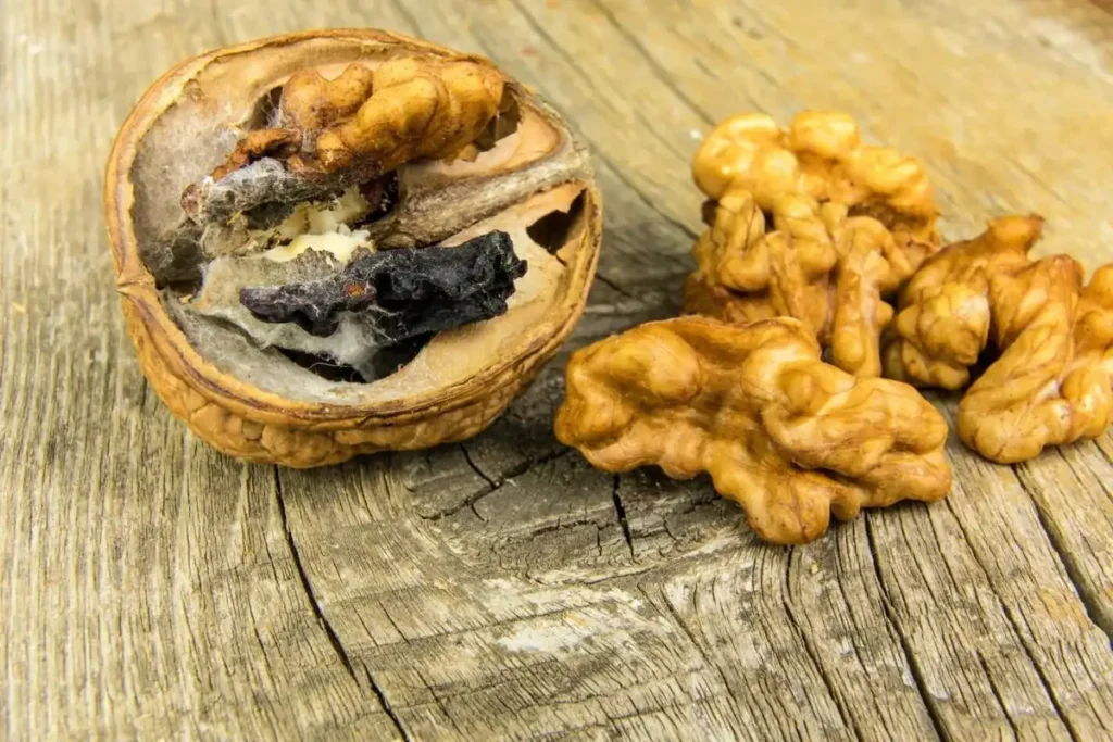 How to Tell If Dry Fruits Are Fresh or Spoiled